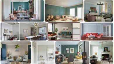 İç Cephe Boyası Renk Seçimi ve Trendleri: Evlerinizi Renklendirme Rehberi